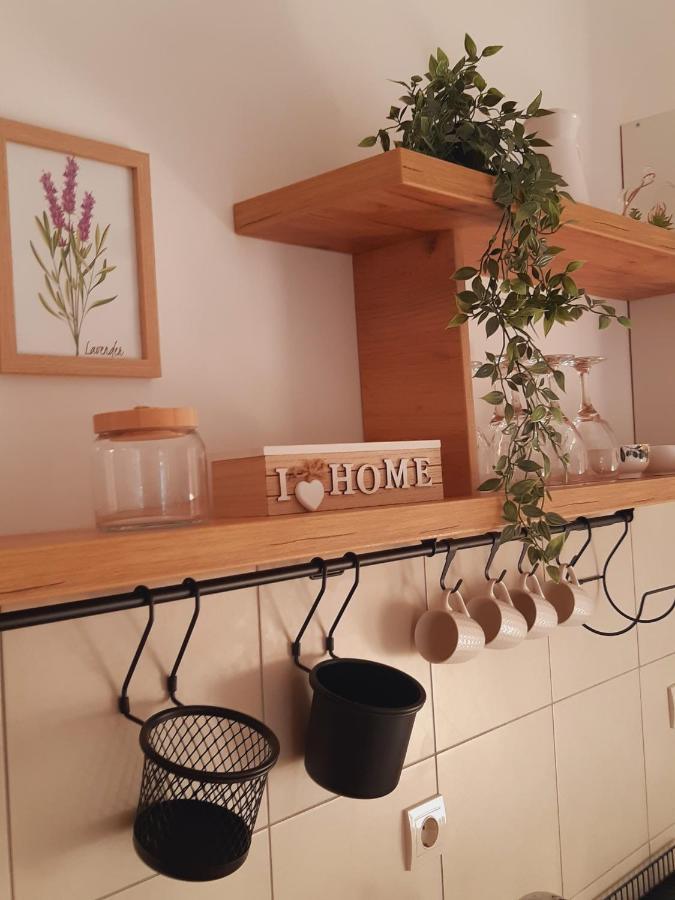 Apartment Macic Dub II Κότορ Εξωτερικό φωτογραφία
