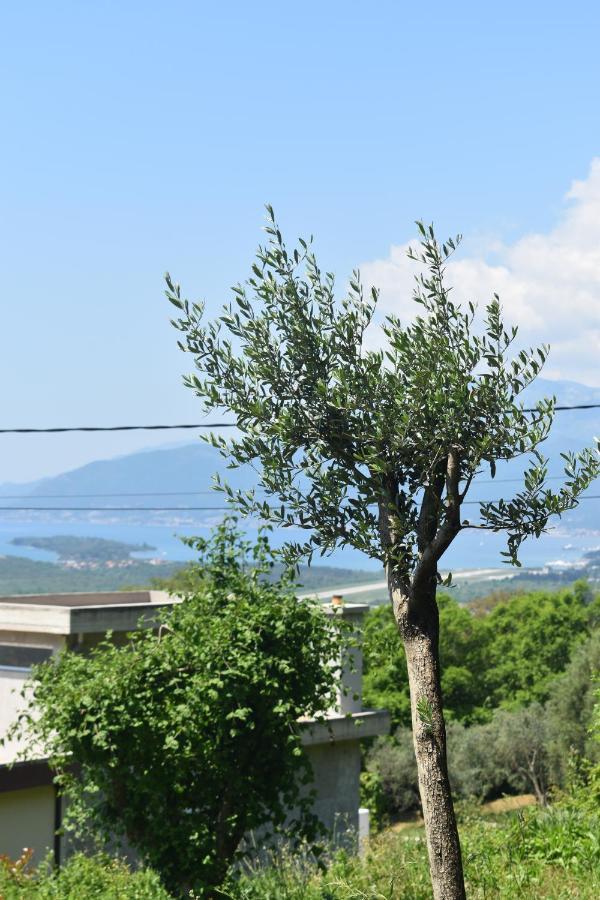 Apartment Macic Dub II Κότορ Εξωτερικό φωτογραφία